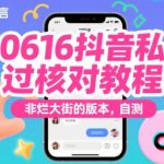 抖音私信过核对终极指南：高效引流神器，独家秘笈大公开！