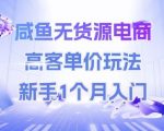 闲鱼无货源暴利玩法｜高客单价月入5万+ 新手7天速成保姆级教程