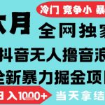 2025抖音无人直播暴利项目：零门槛音浪掘金日入3000+全教程，小白三天起号矩阵操作月入10W+【附工具包+保姆级教程】限流前最后上车