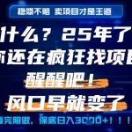 2025找项目终极秘籍：SEO精准定位流量暴涨，单日变现轻松赚20万粉！