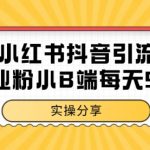 小红书抖音创业粉独家秘技！手残党日引300+精准流量免费放送