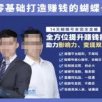 蝴蝶号暴利玩法！14天狂赚10万+：零基础视频号变现圣经