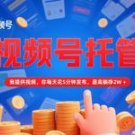 视频号托管揭秘：每日5分钟躺赚2万+，躺着收钱的暴利秘籍必看！