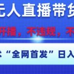 淘宝无人直播带货12.0终极秘籍：不封号黑科技，新手3分钟上手，日赚5000+爆单攻略大公开