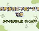 零撸项目揭秘：不看广告手机轻松赚钱 新手小白月入3K+实战教程