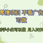零撸项目揭秘：不看广告手机轻松赚钱 新手小白月入3K+实战教程