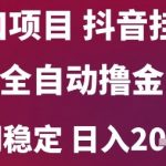 6月爆火抖音无人挂机项目！全自动日赚2000+秘诀大公开 新手也能轻松上手