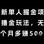 2025年最暴利单人掘金项目！无风控躺赚秘籍 月入5K+轻松上手 独家玩法大揭秘
