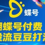 2025蝴蝶号付费流量爆款秘籍：新手秒变高手，撬动自然流核心玩法大揭秘！