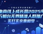 2025年电商爆单秘籍：万相台无界精准推广实战课，手把手教你玩转关键词与人群投放