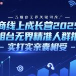 2025年电商爆单秘籍：万相台无界精准推广实战课，手把手教你玩转关键词与人群投放