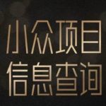 小众情感查询暴利项目：揭秘女粉变现秘籍，新手也能日赚500+的蓝海玩法