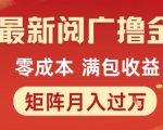 零成本暴利项目！揭秘最新阅广撸金矩阵玩法，轻松月入1W+实战教程