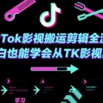 TIKTOK影视搬运剪辑终极指南：零基础3天速成爆款视频，轻松月入过万！