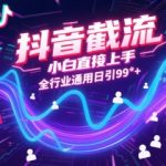 抖音截流秘籍！新手3天狂吸99+精准粉，全行业实操攻略大公开