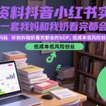 爆款秘籍：教辅资料抖音小红书实战营！SOP简单到老人都会，零成本低风险创业月入过万！