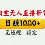 淘宝无人直播暴利玩法大揭秘：0门槛0违规，电脑挂机日赚5000+，不露脸不说话轻松躺赚