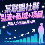 联盟社群私域变现秘籍：3步从小白逆袭日入过万的引流大神