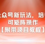 AI公众号矩阵暴利玩法：3天打造自动化赚钱机器（附完整教程）