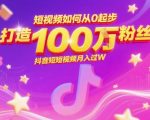 从0到100W粉丝的抖音暴利玩法：揭秘月入10W+的短视频赚钱秘籍