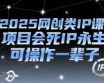 2025年最值得投资的网创IP课程 打造永不淘汰的个人品牌 实现终身被动收入