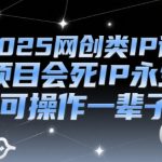 2025年最值得投资的网创IP课程 打造永不淘汰的个人品牌 实现终身被动收入
