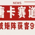唐卡私域引流终极秘籍 自热矩阵SOP日引百单精准客户 手把手教你轻松变现