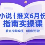2025年6月小说推文爆款实操课：0粉也能轻松上手，看完视频即赚钱！