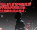 抖音千万粉丝操盘手揭秘：3步打造爆款账号，轻松月入10W+的短视频掘金术