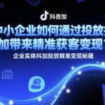 中小企业抖加投放终极指南：3步精准获客变现秘籍，日引流100+客户！