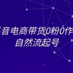 抖音零粉丝零作品也能爆单？揭秘自然流量起号终极秘籍，新手必看电商教程
