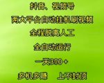 抖音视频号自动赚钱秘籍：日入3000+全自动躺赚攻略 零人工暴利项目大公开