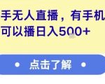 快手无人直播赚钱秘籍：一部手机轻松日赚500+，新手必看暴利玩法