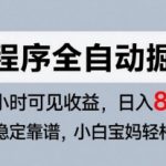 微信小程序掘金秘籍：零基础日赚800+的自动赚钱攻略，长期稳定收益大公开