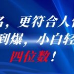 AI起名神器爆单秘籍：新手轻松月入10000+的人性化命名技巧大公开