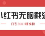 小红书截流同行客源终极秘籍：日引500+精准客户的全自动黑科技玩法大公开
