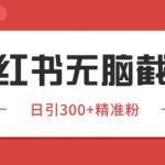 小红书截流同行客源终极秘籍：日引500+精准客户的全自动黑科技玩法大公开