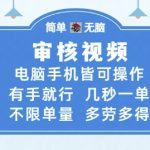 审核视频揭秘：手机电脑轻松操作，几秒一单无限量，多劳多得日赚千元！