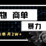 得物商单暴利玩法揭秘！新手轻松月入1W+，手机无脑搬砖日赚500元
