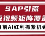 小红书SAP赛道引流获客终极秘籍：自热矩阵日引500+精准客户，新手也能轻松上手！【2025最新实战攻略】
