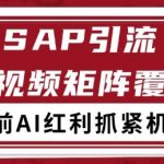 小红书SAP赛道引流获客终极秘籍：自热矩阵日引500+精准客户，新手也能轻松上手！【2025最新实战攻略】