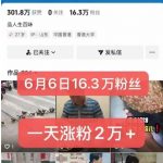 最新抖音暴力搬运涨粉技术！苹果安卓通用！1分钟1条日涨2万粉！限时免费公开！
