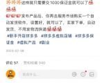 小红书虚拟电商暴利课2.0：3小时日赚300+ 新手轻松月入1W+的终极指南