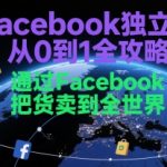 Facebook独立站0-1终极指南：3步打造全球爆单系统，日销1000+订单秘籍大公开