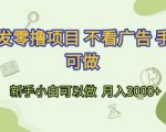零撸项目大揭秘：不看广告手机轻松赚钱，新手小白月入3000+的终极攻略