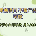 零撸项目大揭秘：不看广告手机轻松赚钱，新手小白月入3000+的终极攻略