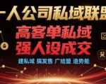 高客单私域变现秘籍：一人公司如何打造强人设成交体系，私域联盟+发售爆破+势能造富全攻略