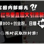 小红书爆款引流秘籍：首富圈疯传的日吸300+精准粉变现术，7天狂赚5W+实战教程！