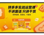 拼多多运营实战秘籍：7天爆单技巧大公开 手把手教你月销百万可复制的赚钱玩法