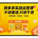 拼多多运营实战秘籍：7天爆单技巧大公开 手把手教你月销百万可复制的赚钱玩法